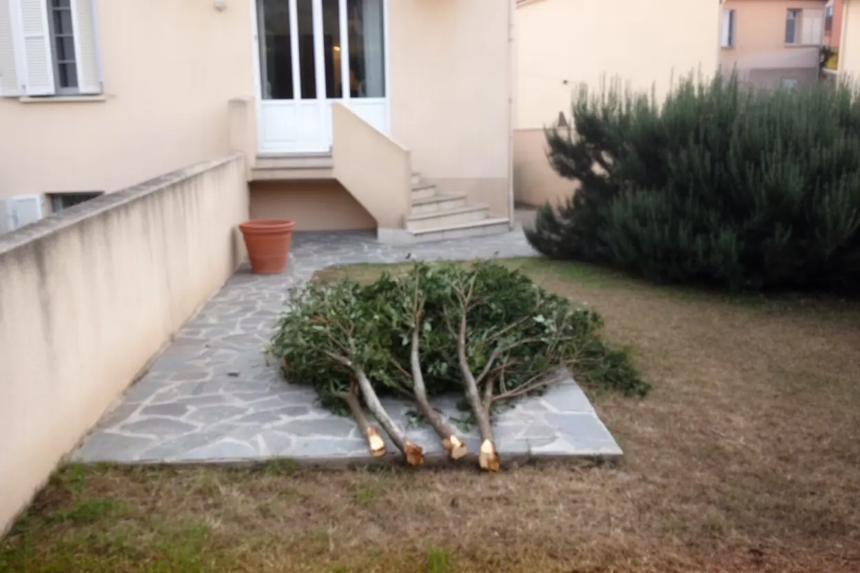 Tas de branches avant ramassage à Ajaccio