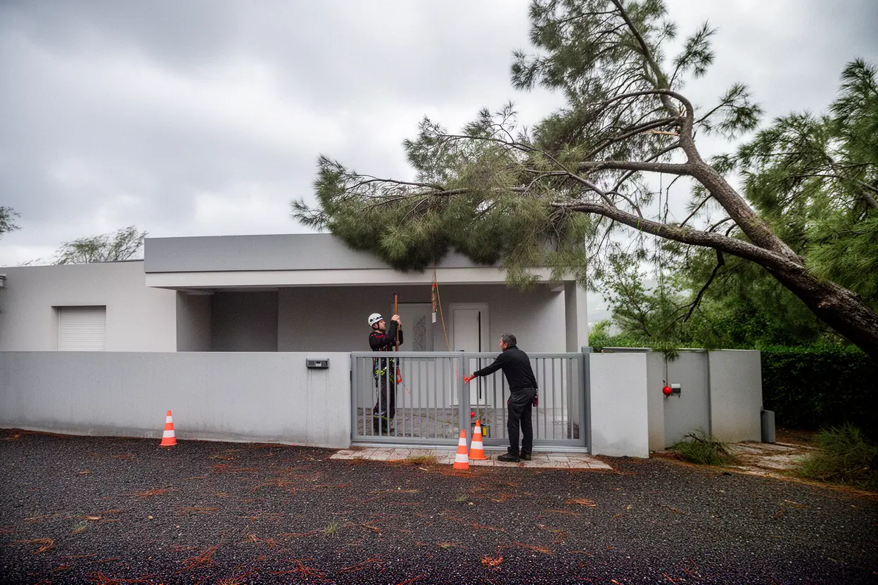 Élagueur sécurisant une branche cassée à Ajaccio